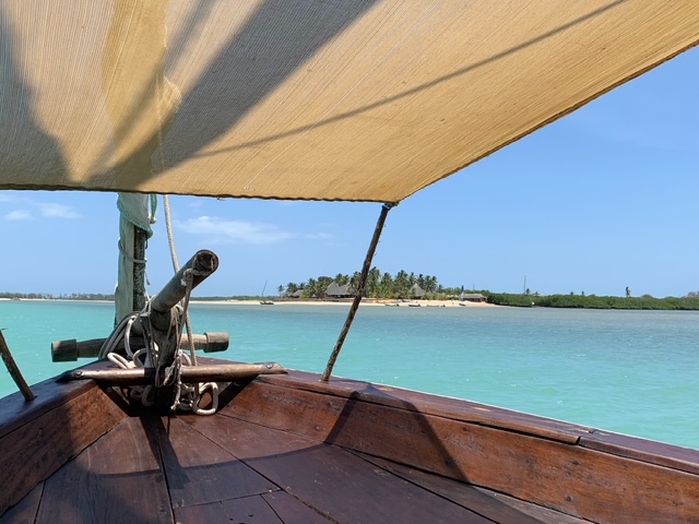 Dhow sailing through the mangroves at Lamu Island