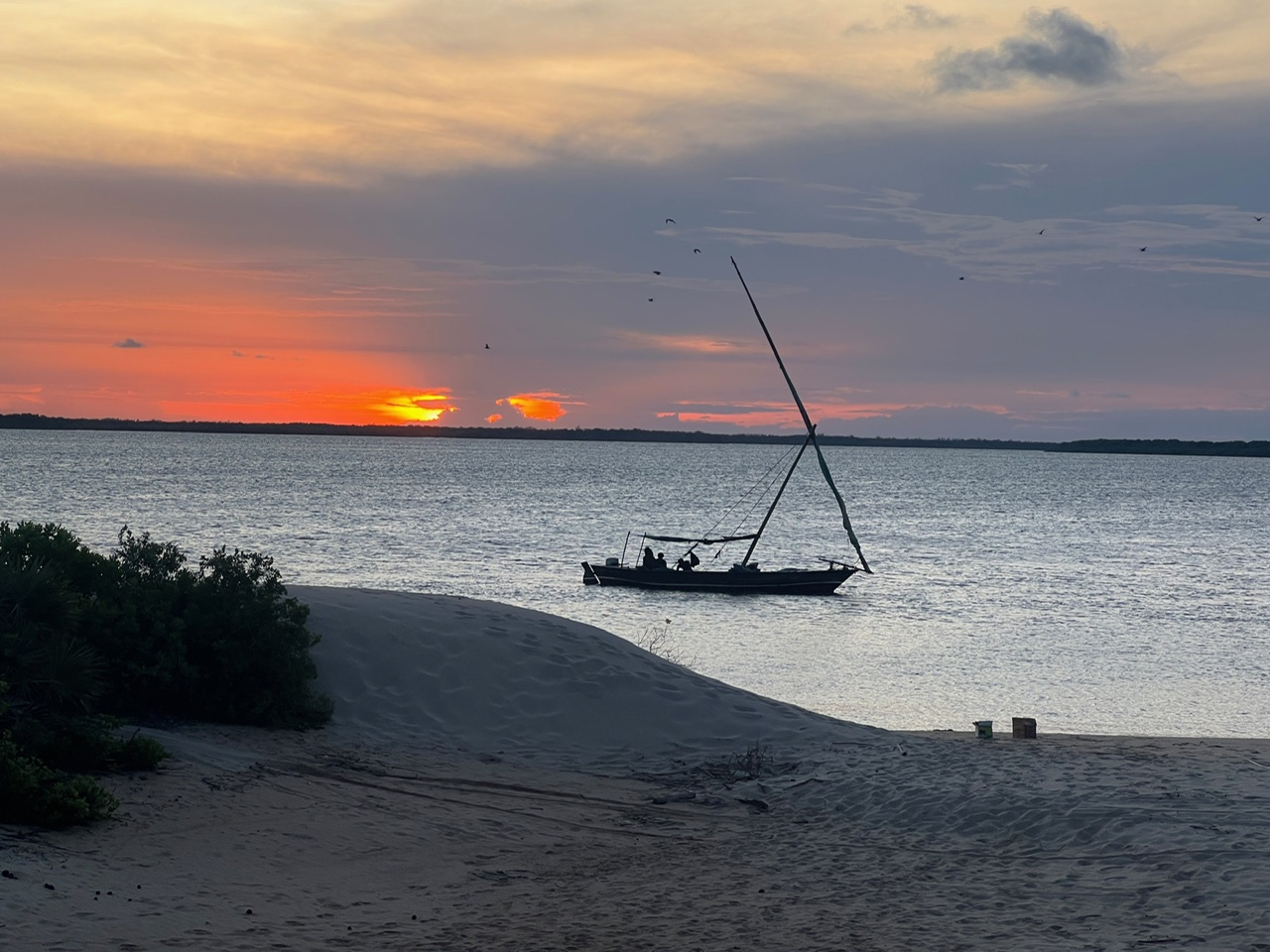 Evening dhow sailing on Lamu Island