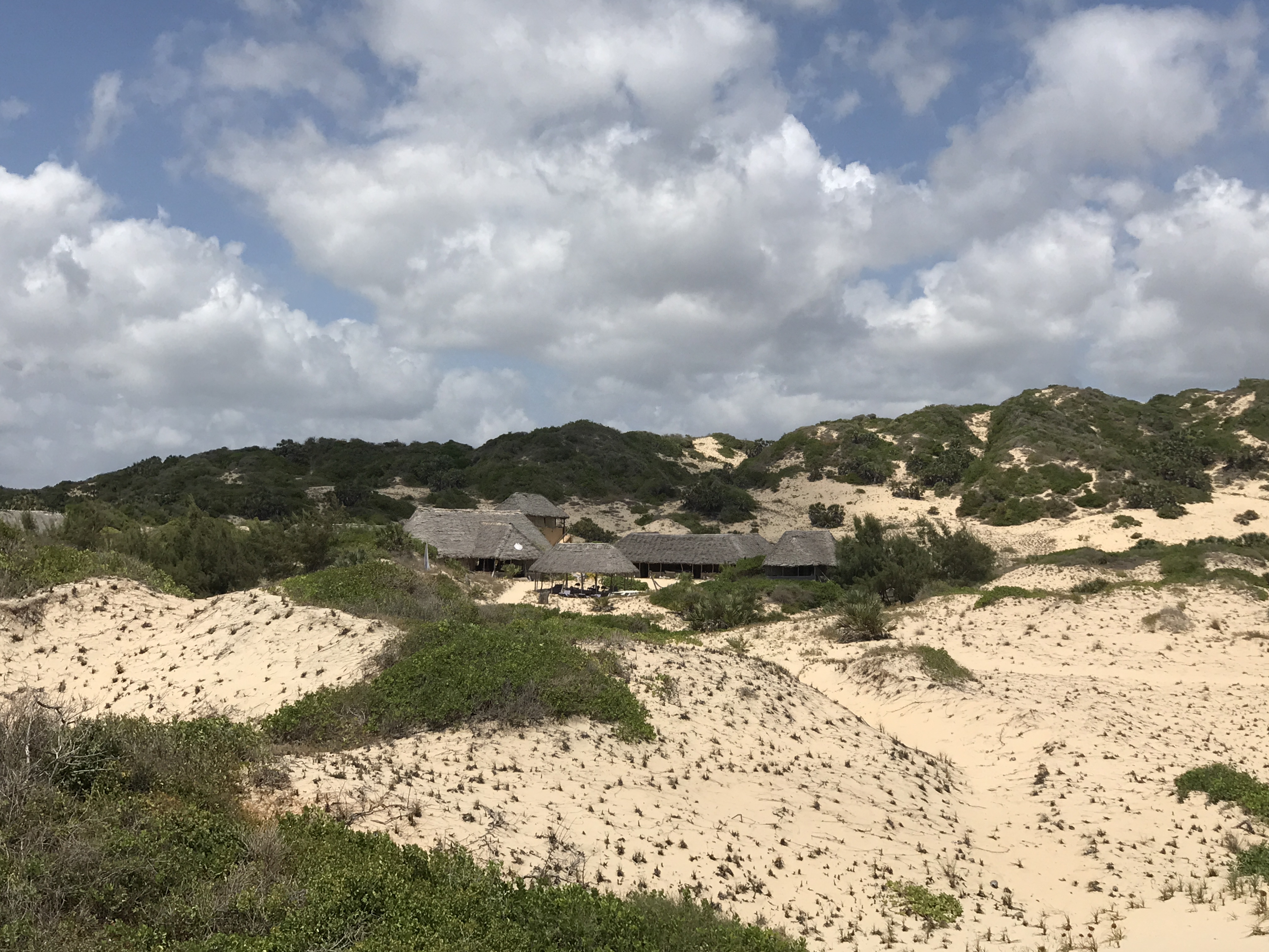 Thatched bandas at Mbali